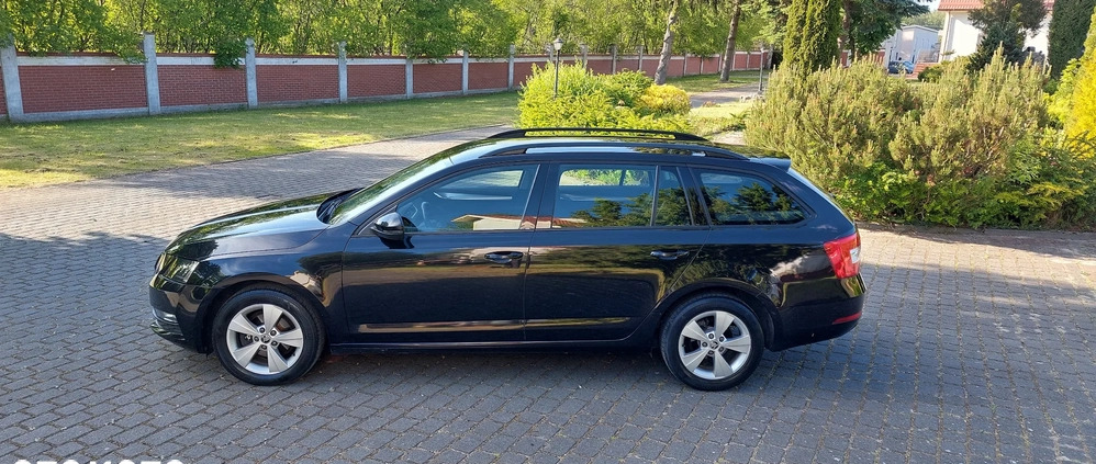 Skoda Octavia cena 44900 przebieg: 183500, rok produkcji 2018 z Sierpc małe 562